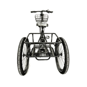 JD-0063 Electric tricycle